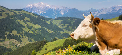 Voyage agricole en Autriche